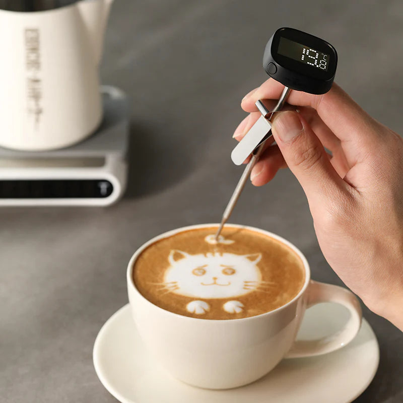 MHW-3BOMBER TRAGBARES DIGITALES LCD-THERMOMETER